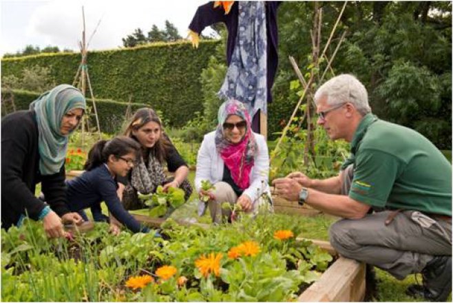 A botanic gardener engaging with public