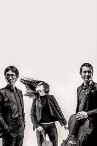 Amatis Piano Trio