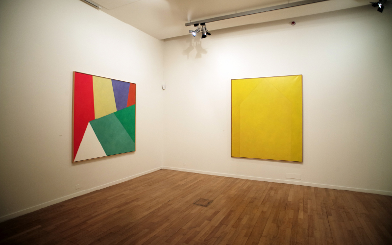 Angelo de Sousa, la couleur et le grain noir des choses