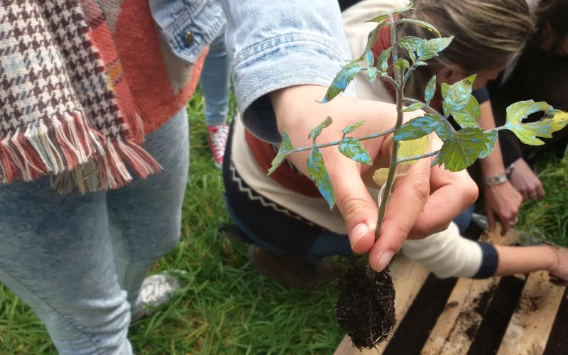 Citizenship Education